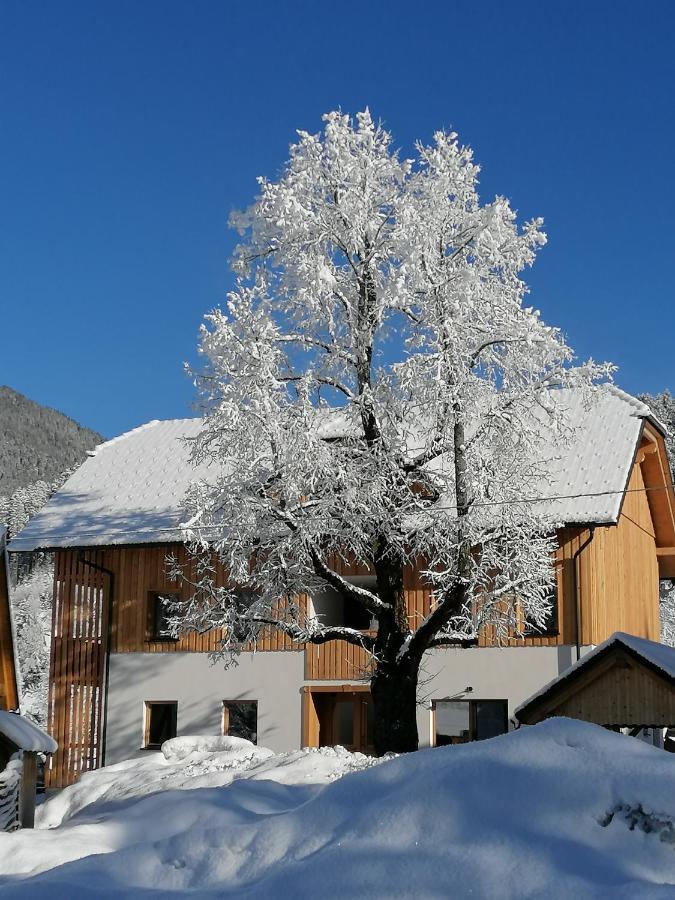 Apartments Gorski Raj Kranjska Gora Εξωτερικό φωτογραφία
