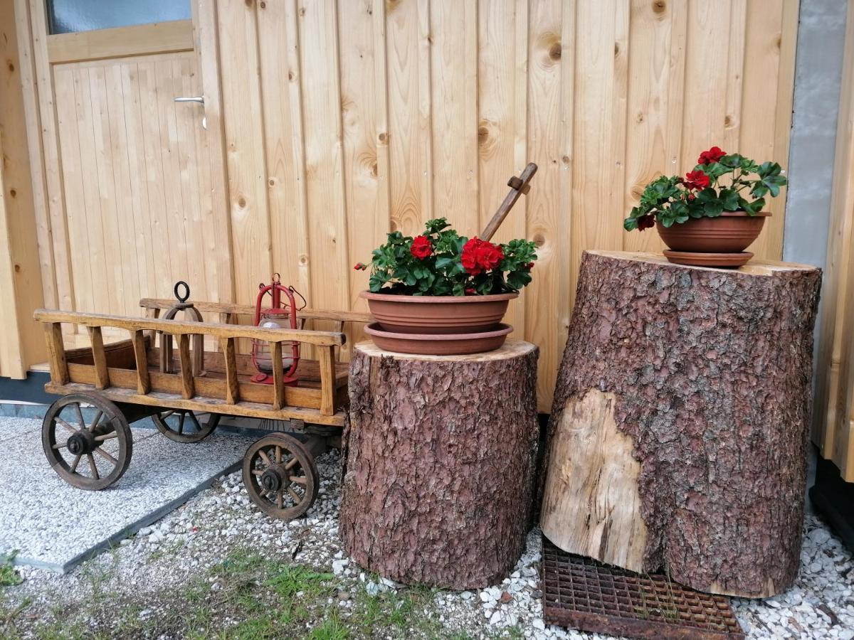 Apartments Gorski Raj Kranjska Gora Εξωτερικό φωτογραφία